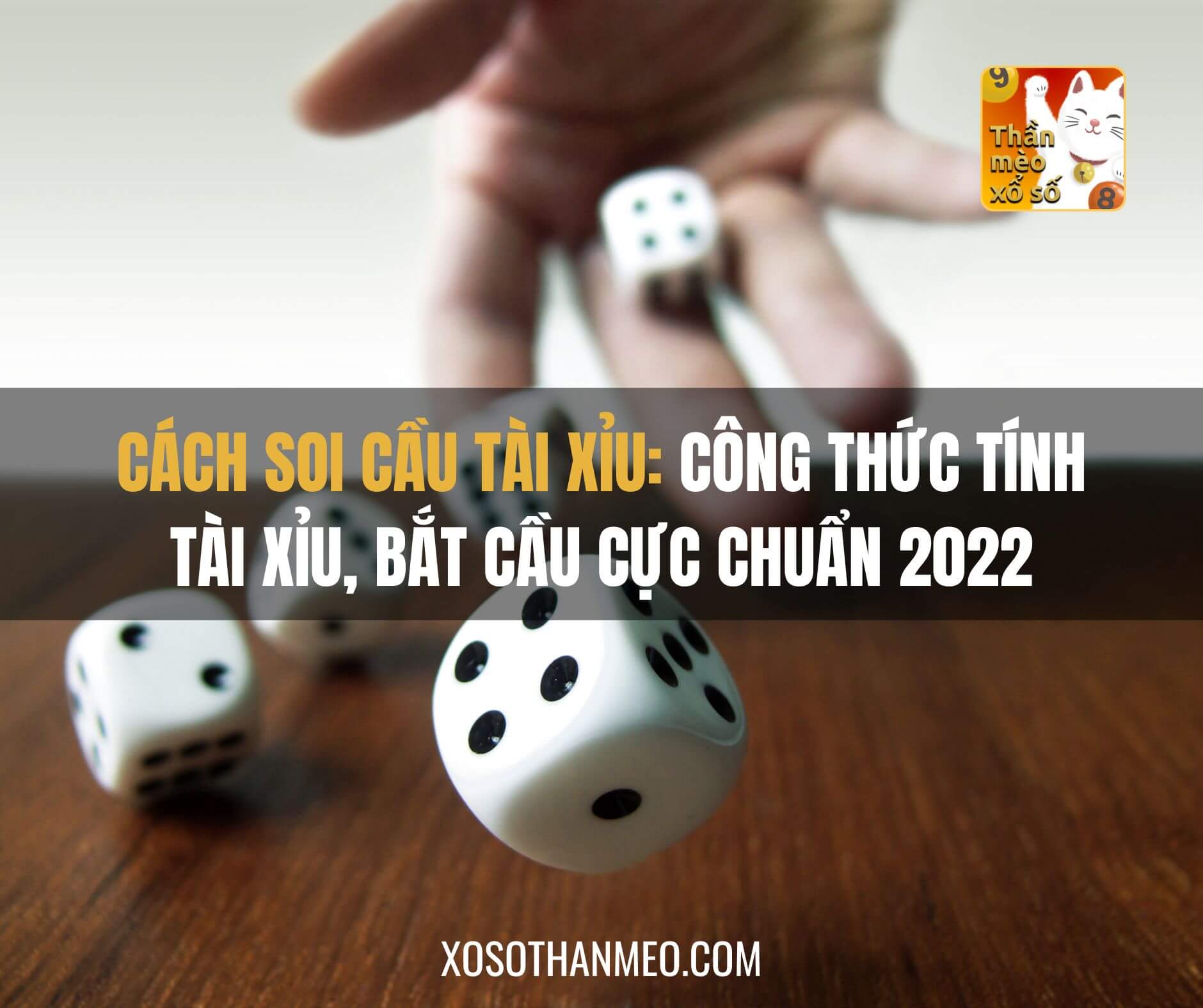 Cách Đoán Hột Tài Xỉu: Bí Mật Chiến Thắng Mà Ai Cũng Muốn Biết 18 Cách Đoán Hột Tài Xỉu: Bí Mật Chiến Thắng Mà Ai Cũng Muốn Biết image-1731640768587