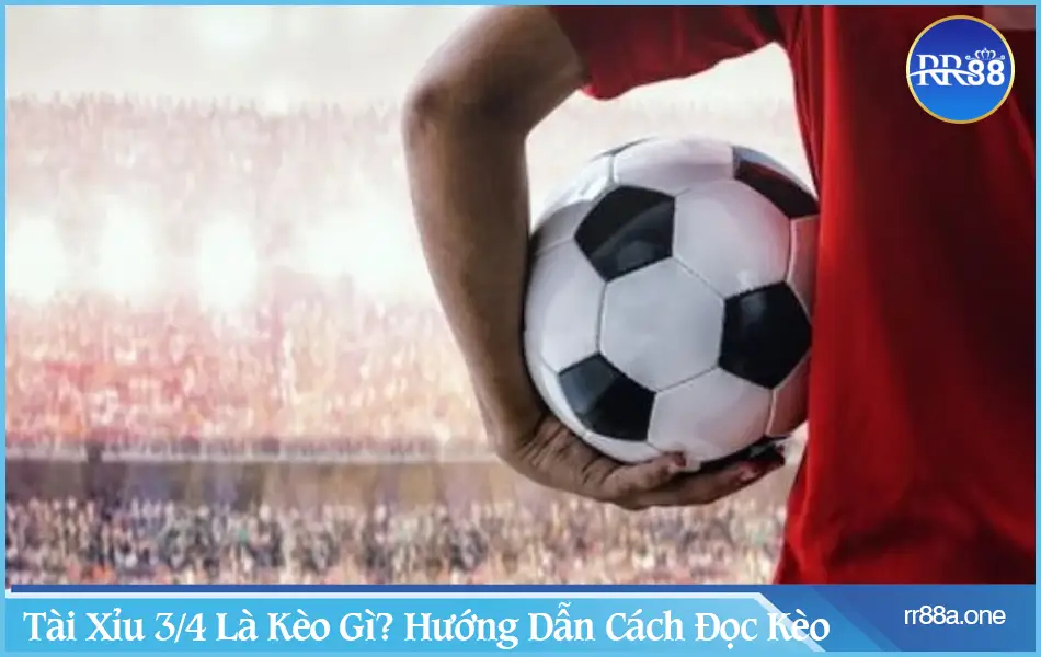 Cách Đọc Kèo Tài Xỉu 2 3/4 : Hướng Dẫn Chi Tiết 2 Cách Đọc Kèo Bóng Đá Tài Xỉu 2 3/4: Hướng Dẫn Chi Tiết image-1731639762909