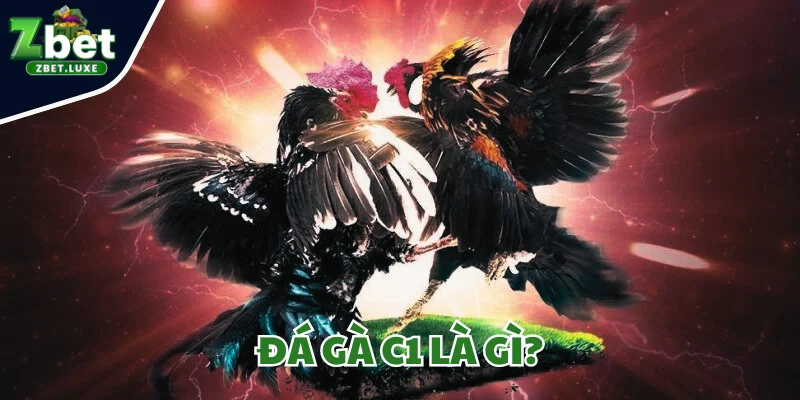 Đá gà C1 là gì