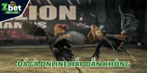 Đá gà online hấp dẫn không